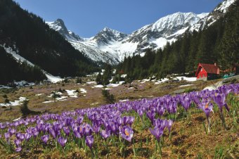 Bemutatják Székely Árpád kötetét