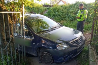 Őrizetbe vették az autótolvajokat