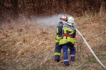 A kigyulladt száraz aljnövényzetről az erdőbe terjedtek a lángok
