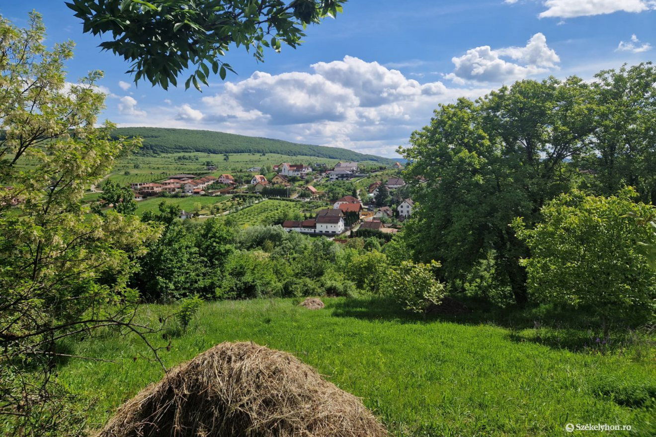 •  Fotó: Fülöp-Székely Botond
