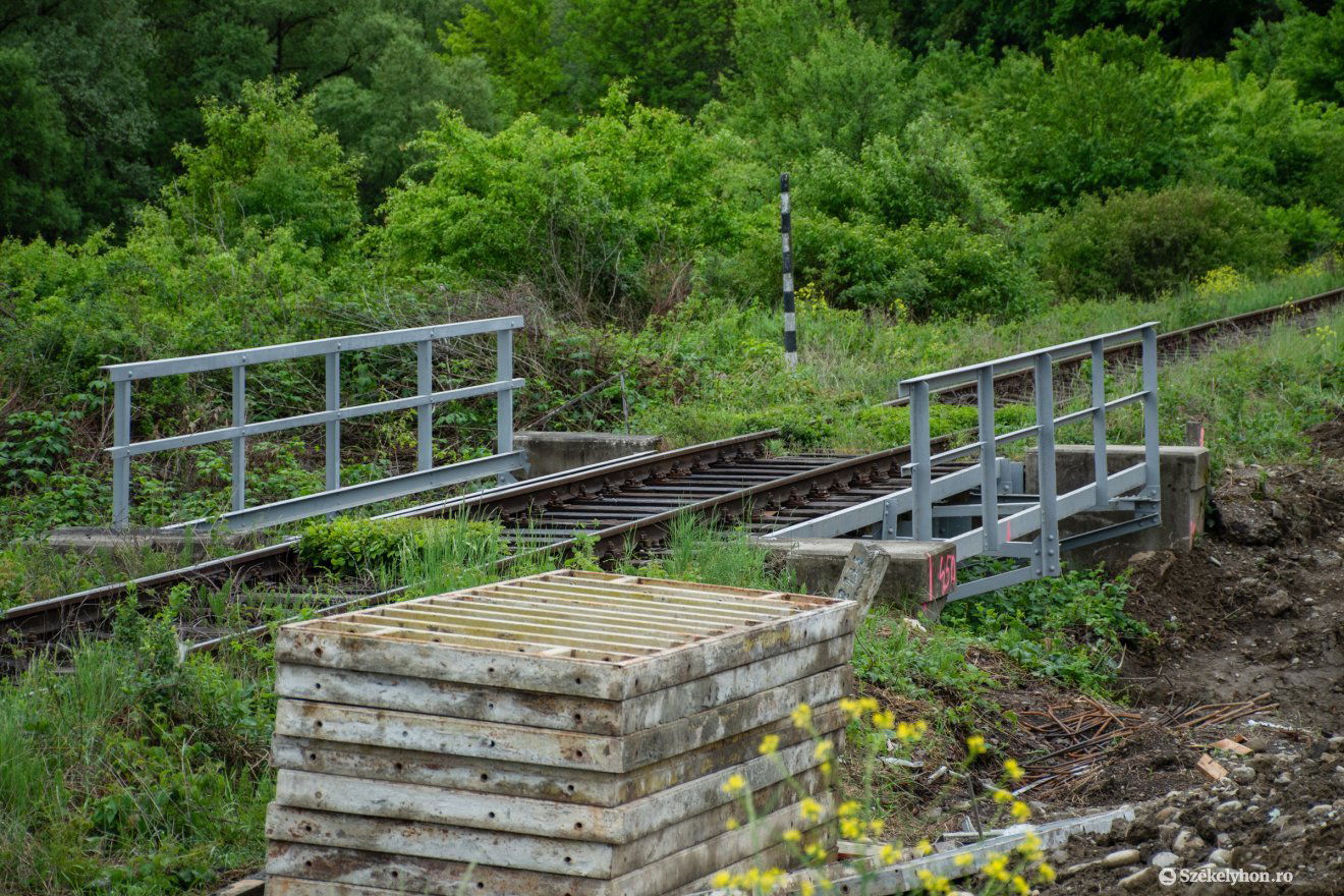 •  Fotó: László Ildikó