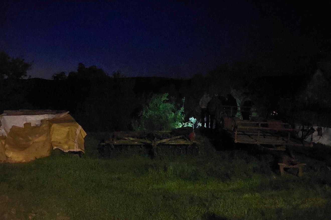 A 13B jelzésű országútról is belátni a vesszősbe és kertekhez, ahol a medve felbukkant •  Fotó: László Ildikó