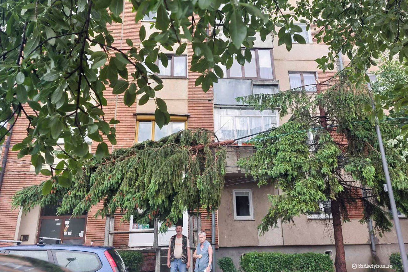 •  Fotó: Székelyhon