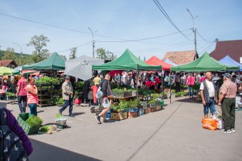 Bőséges kínálat a zöldségpiacon, de vajon kifizetődik a befektetett munka?