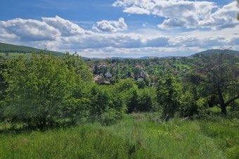 Medve bocsozott le a székelyudvarhelyi házak közelében