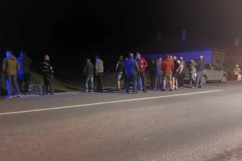 Felháborodás és félelem a Nyikómalomfalvára visszajáró medve miatt