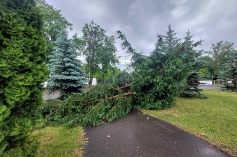 Károkat okozott a vihar Maros megyében
