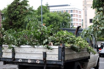 Sínre dőlt, utat eltorlaszoló fák, pincéket, udvarokat elárasztó víz – nem vonult el a vihar nyom nélkül