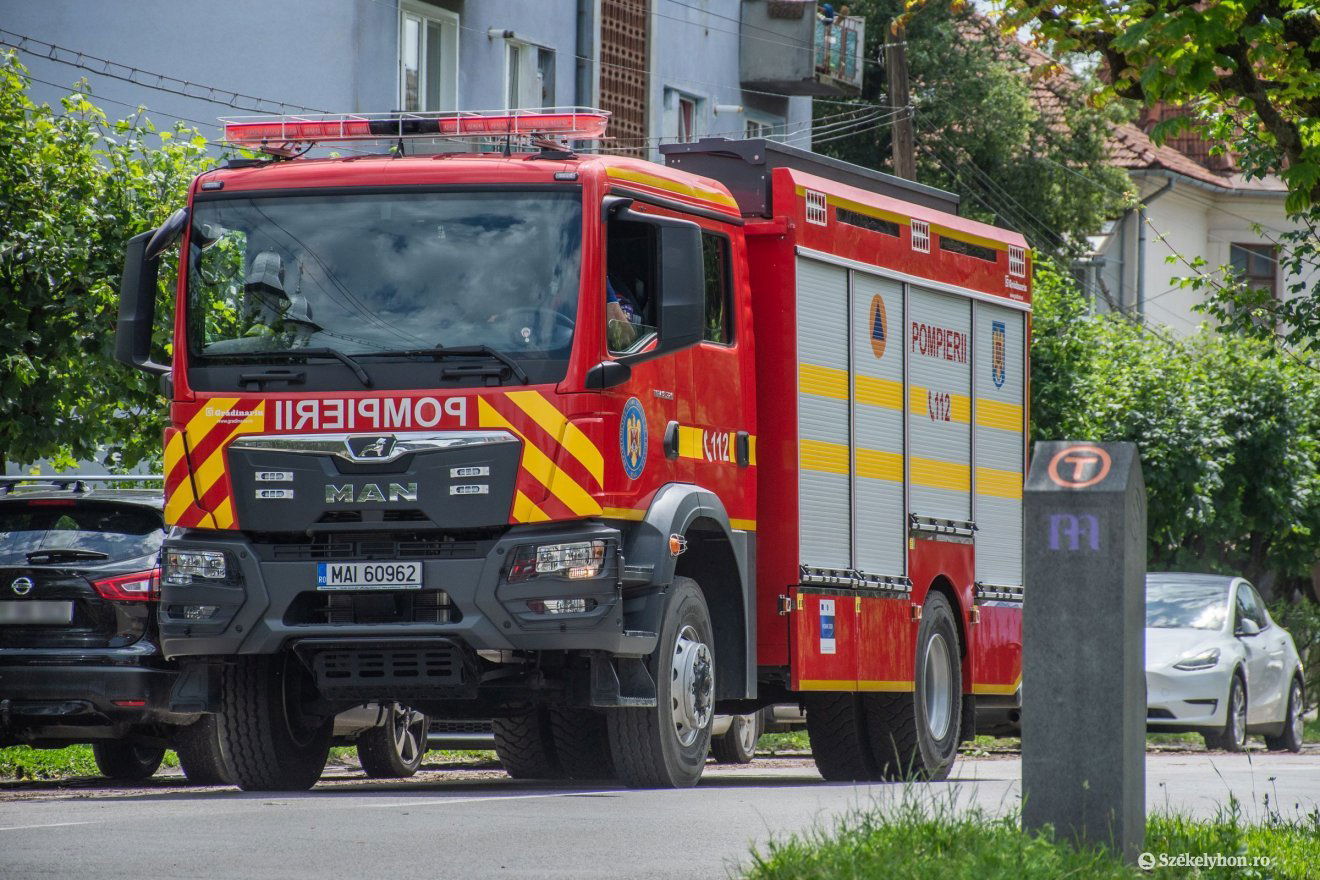 Képünk illusztráció •  Fotó: László Ildikó