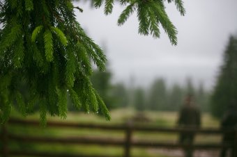 Az általános sztrájktól sem riadnak vissza az elégedetlen erdészek