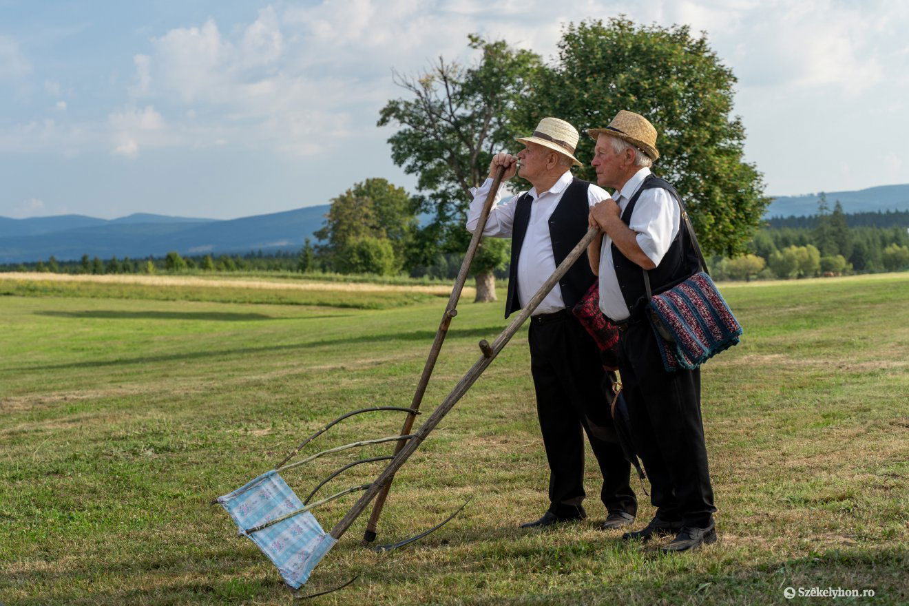 A kézi aratás hogyanját elevenítették fel augusztus 17-én a Korond községhez tartozó Fenyőkúton •  Fotó: Haáz Vince