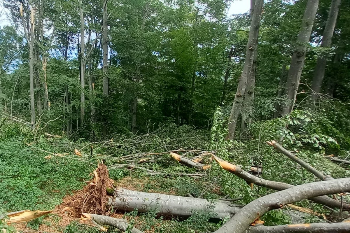 &bullet;  Fotó: Székelyudvarhely Polgármesteri Hivatala