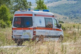 Fényes nappal támadt egy gombászó férfira a medve Csatószegen