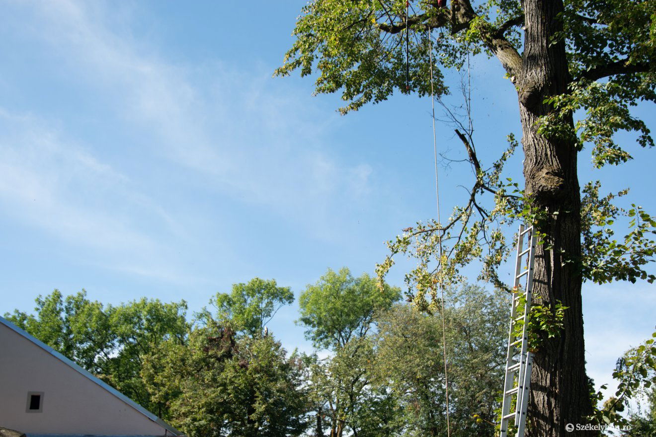 •  Fotó: Bencze Emese