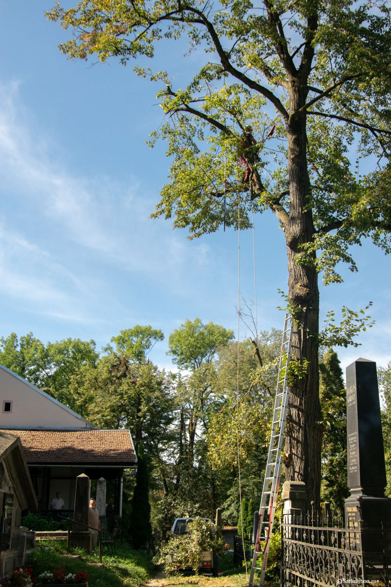 •  Fotó: Bencze Emese