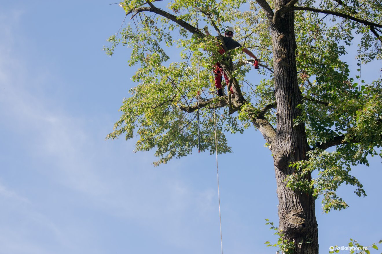 •  Fotó: Bencze Emese
