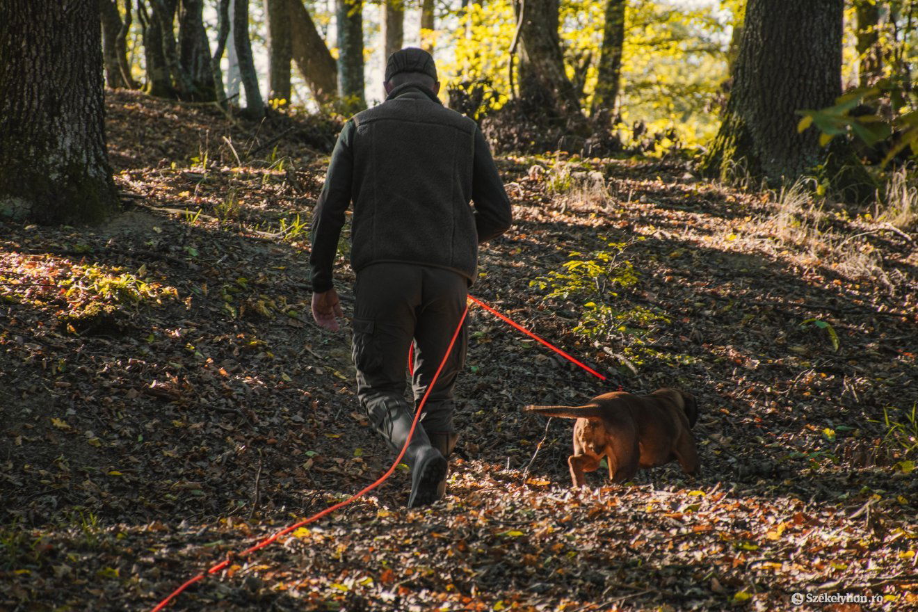 Vérebbel cserkelték a sebzett vadat •  Fotó: László Ildikó