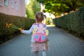 Daniel David szerint a tanárok kötelessége fogadni a diákokat, a szakszervezetek üres osztálytermeket ígérnek