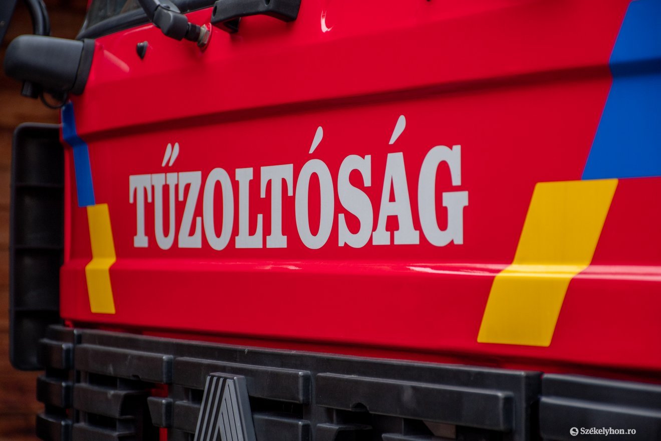 Képünk illusztráció •  Fotó: László Ildikó