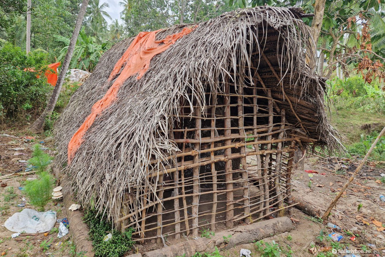 Ilyen kis házakban lakik a zanzibáriak jó része •  Fotó: Fülöp-Székely Botond