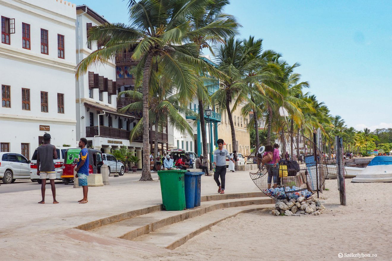 Pálmafákkal szegélyezett utca a zanzibári kikötő közelében •  Fotó: Fülöp-Székely Botond