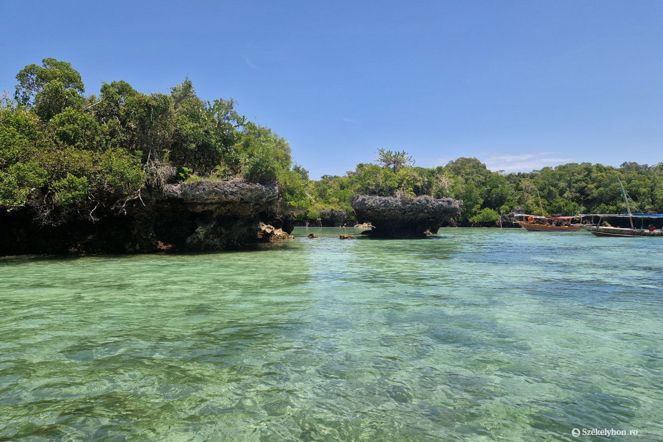 Mangrove fák által szégélyezett lagúna, különös sziklaképződményekkel •  Fotó: Fülöp-Székely Botond