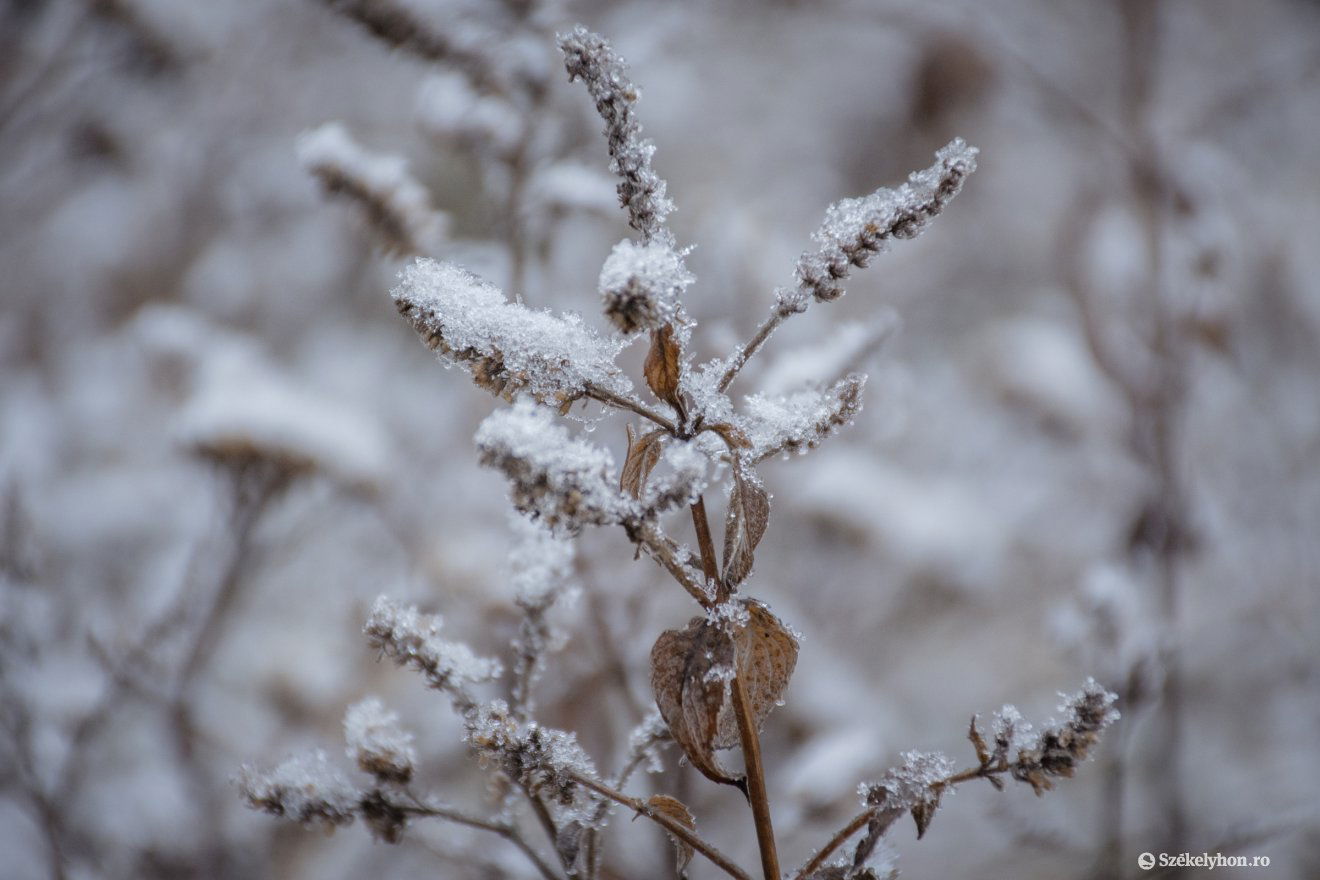 Fagypont alatt. Volt, ahol mínusz 18 Celsius-fok alá süllyedt a hőmérséklet