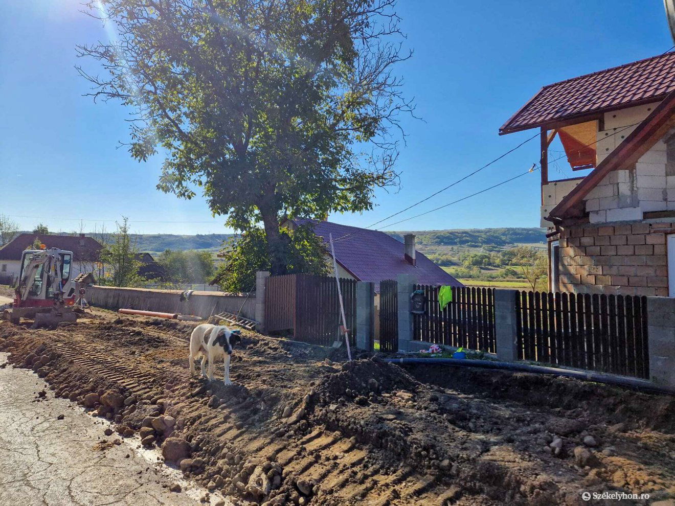 •  Fotó: Székelyhon