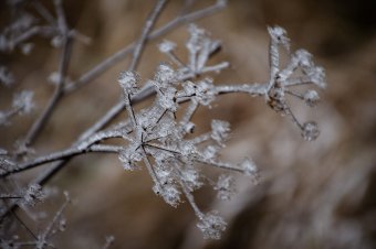Ilyen, amikor szinte mindenütt hidegebb van, mint Csíkban