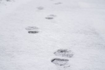 Lehűlés, havazás várható a következő napokban