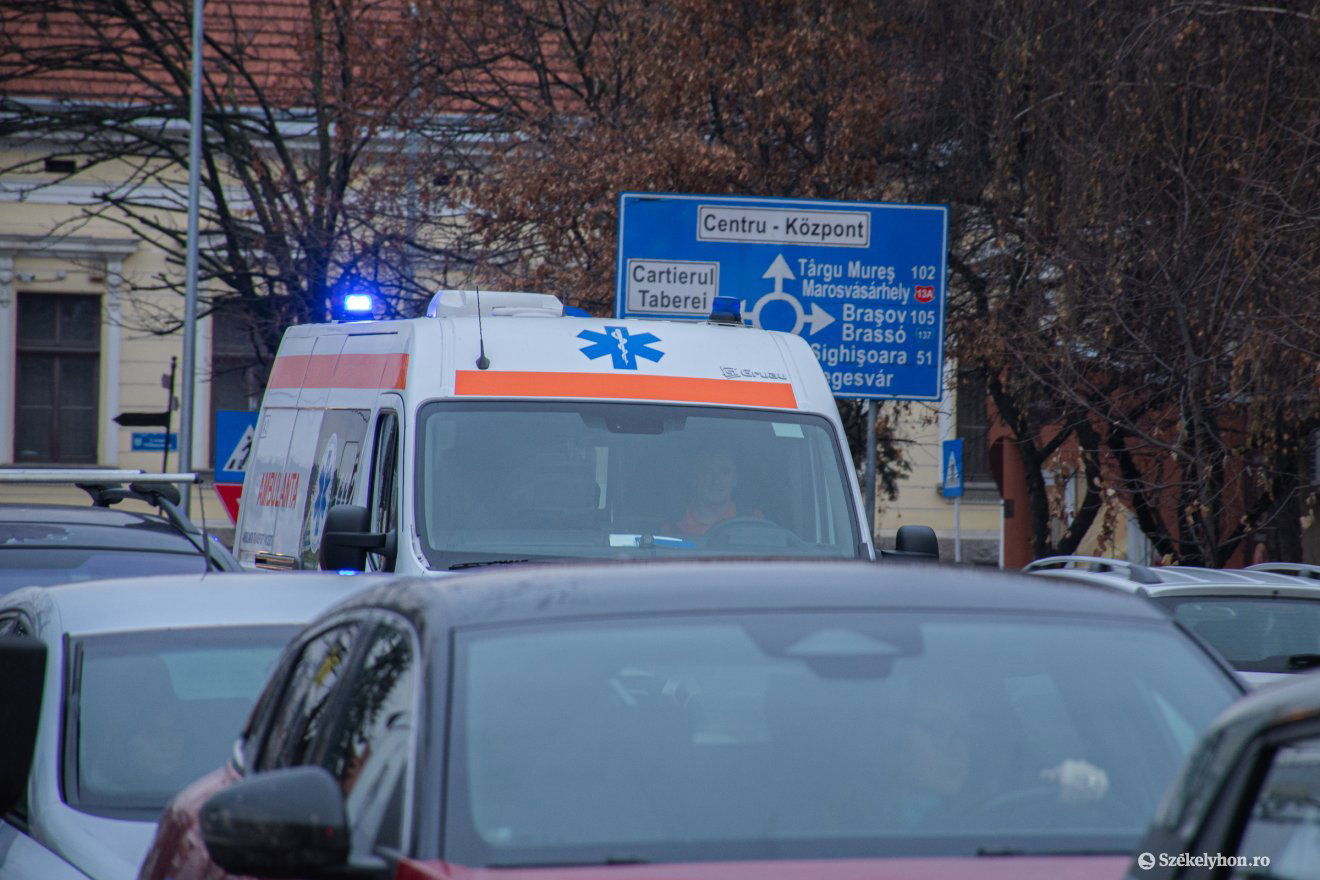 •  Fotó: László Ildikó