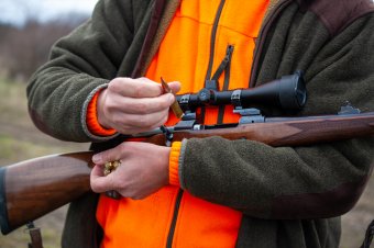 Módosítanák a vadászati törvényt, előre bejelentett vadászatokhoz kötnék a fegyverhasználatot