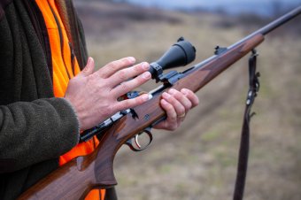 Miért lőtték ki a medvét a székelykeresztúri tavaknál?