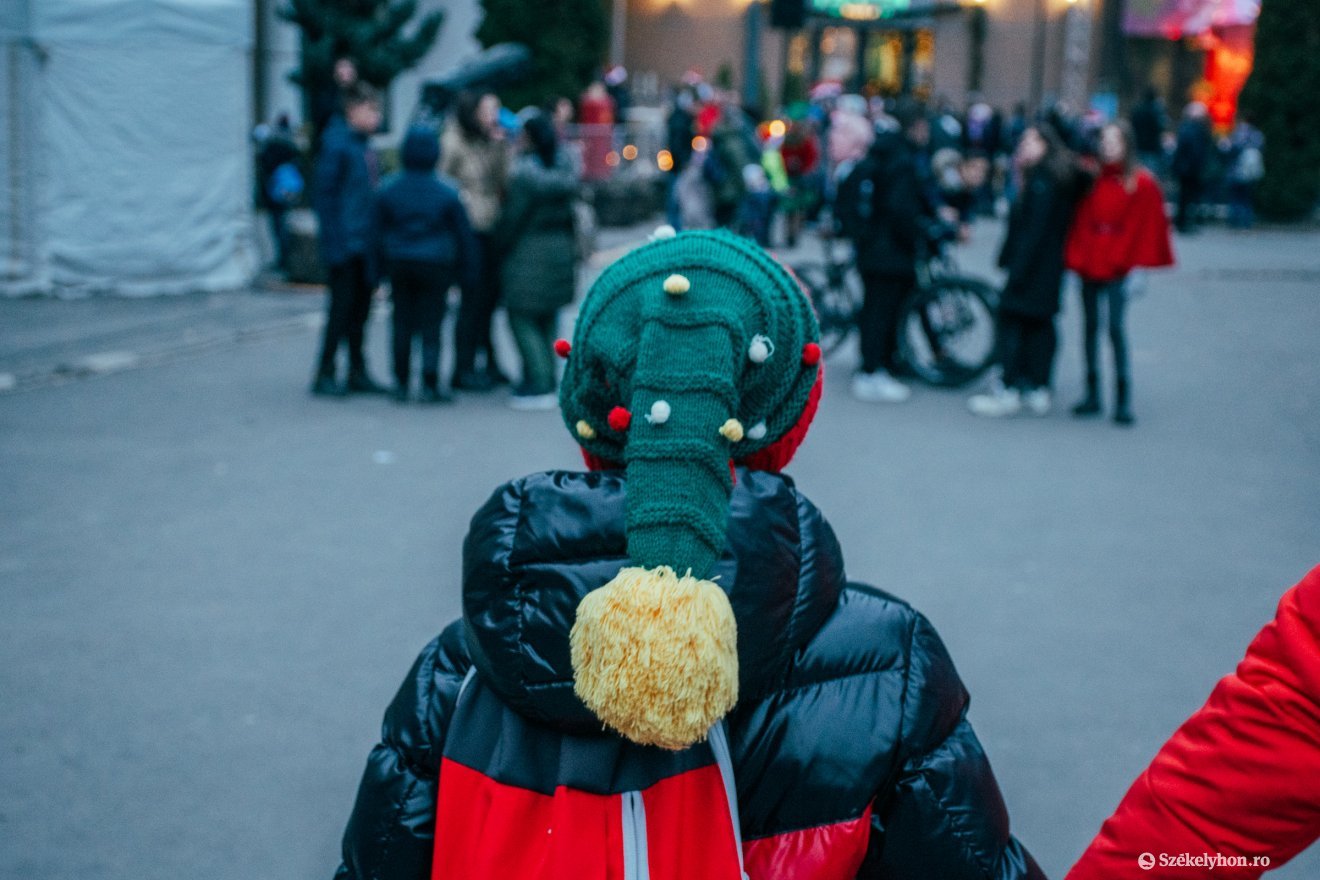 •  Fotó: László Ildikó