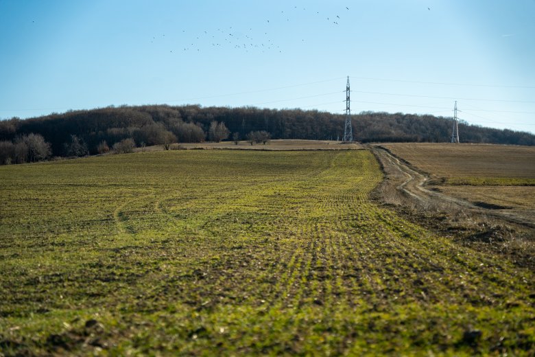 Közel ötezer gazda támogatásigénylési kérelmét iktatták már