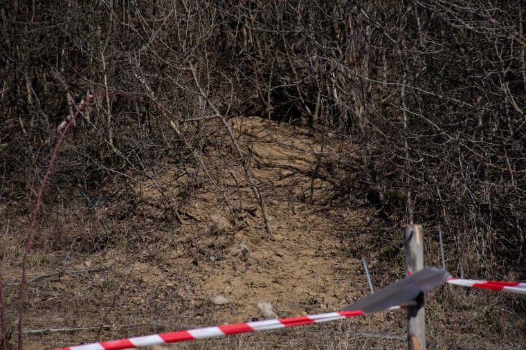 Ott vannak a bocsok, éjszakánként jár vissza az anyjuk