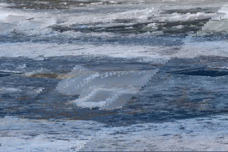 Életmentés a Maroson: beszakadt a jég a kutyáját mentő férfi alatt