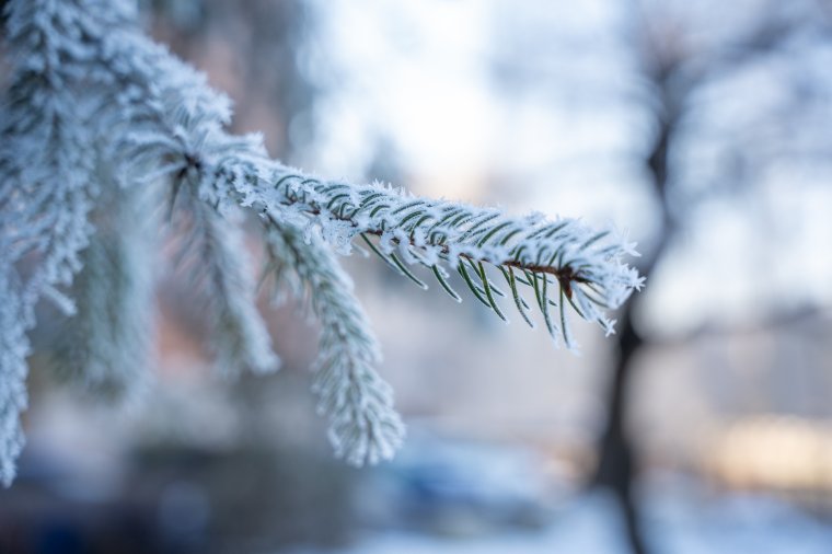 A következő napokban is fagyosak lesznek a reggelek
