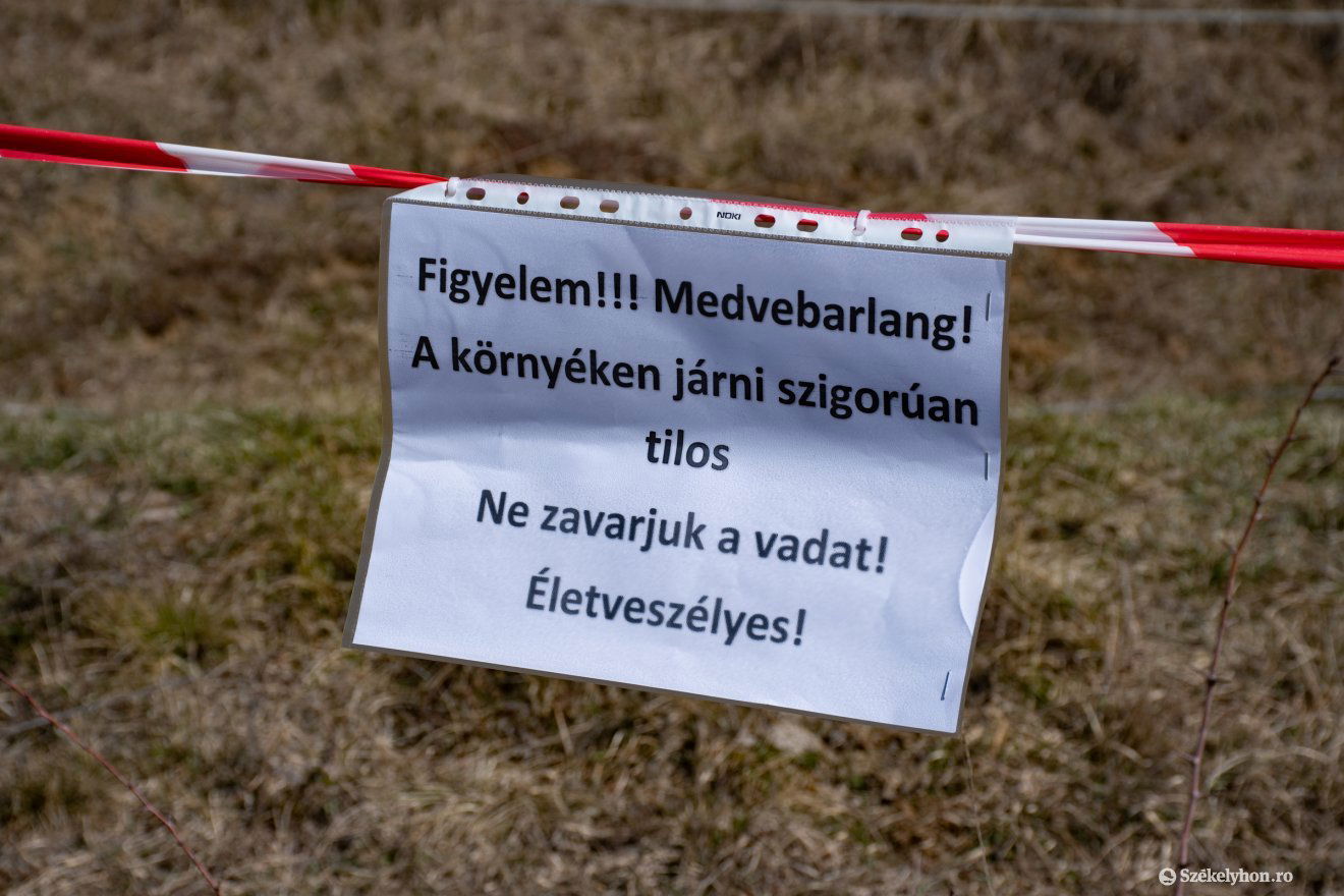 •  Fotó: László Ildikó