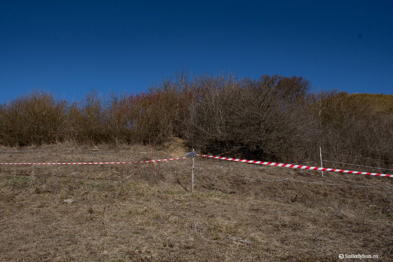 •  Fotó: László Ildikó