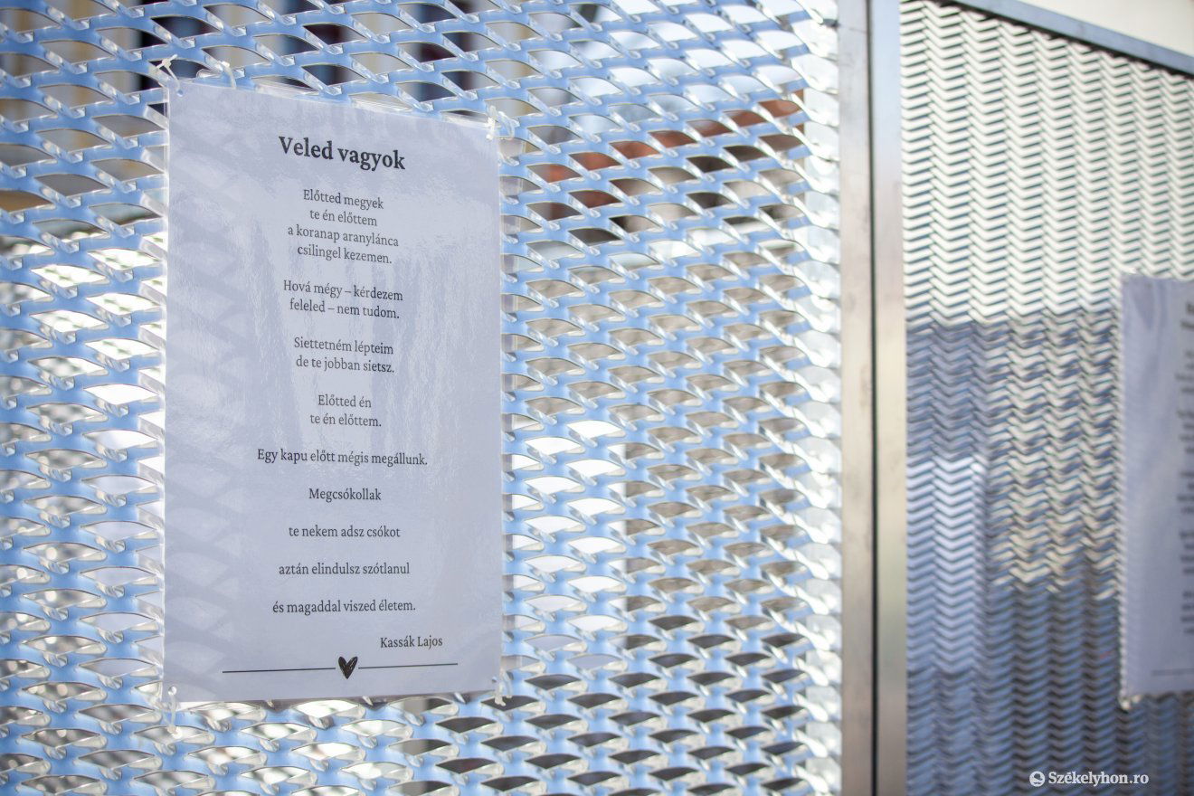 •  Fotó: Csató Andrea