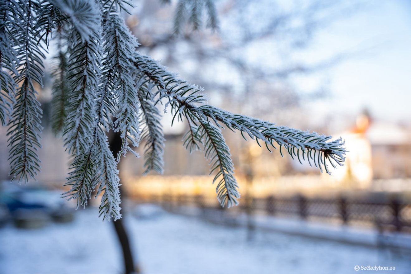 • Fotó: Csató Andrea
