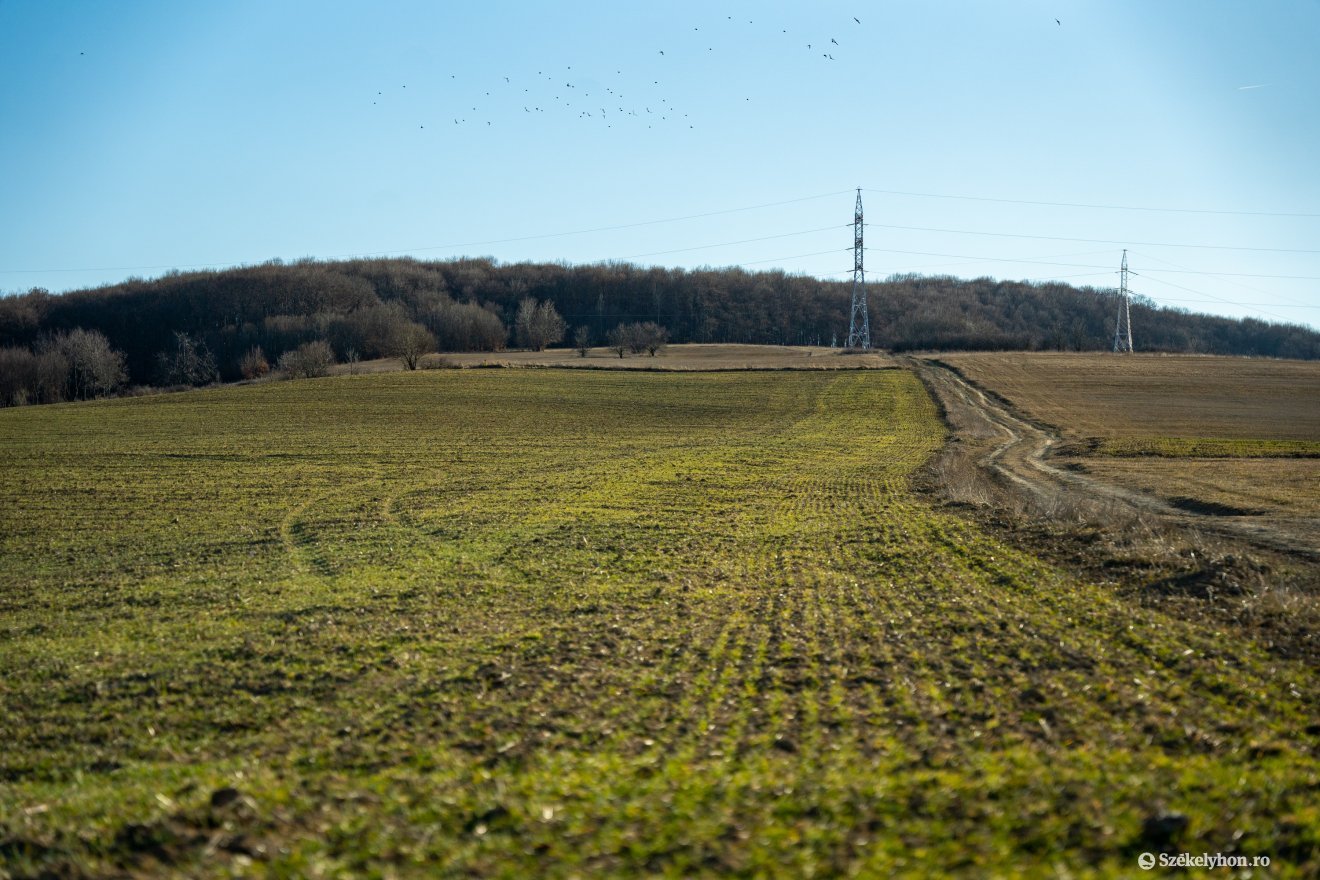 • Fotó: Csató Andrea