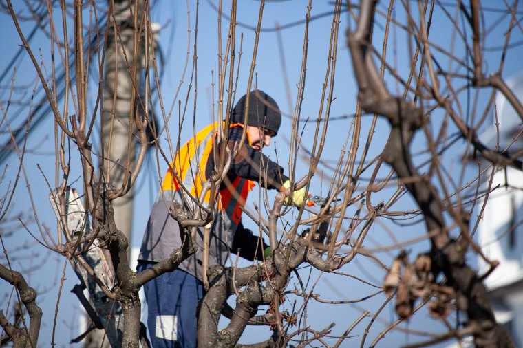Nem lehet parkolni a csíkszeredai Szabadság térnél kedden délelőtt