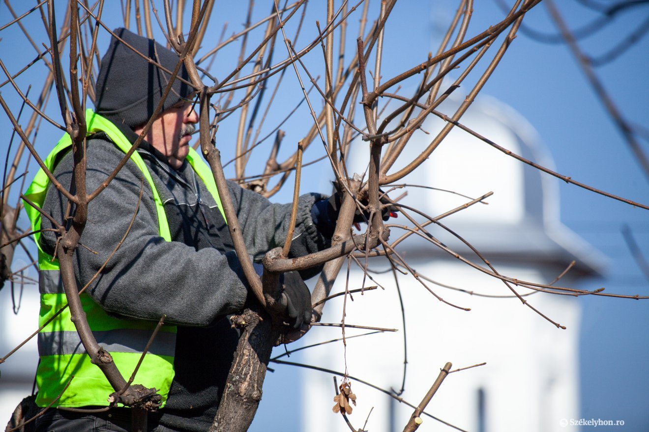 •  Fotó: Csató Andrea