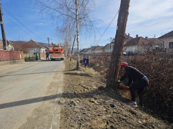 Balesetveszélyes faoszlopokat távolítottak el Székelykeresztúron