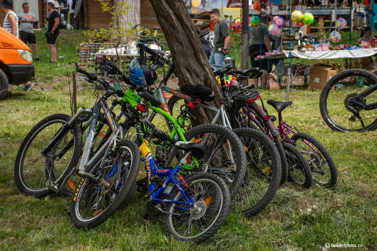 •  Fotó: László Ildikó