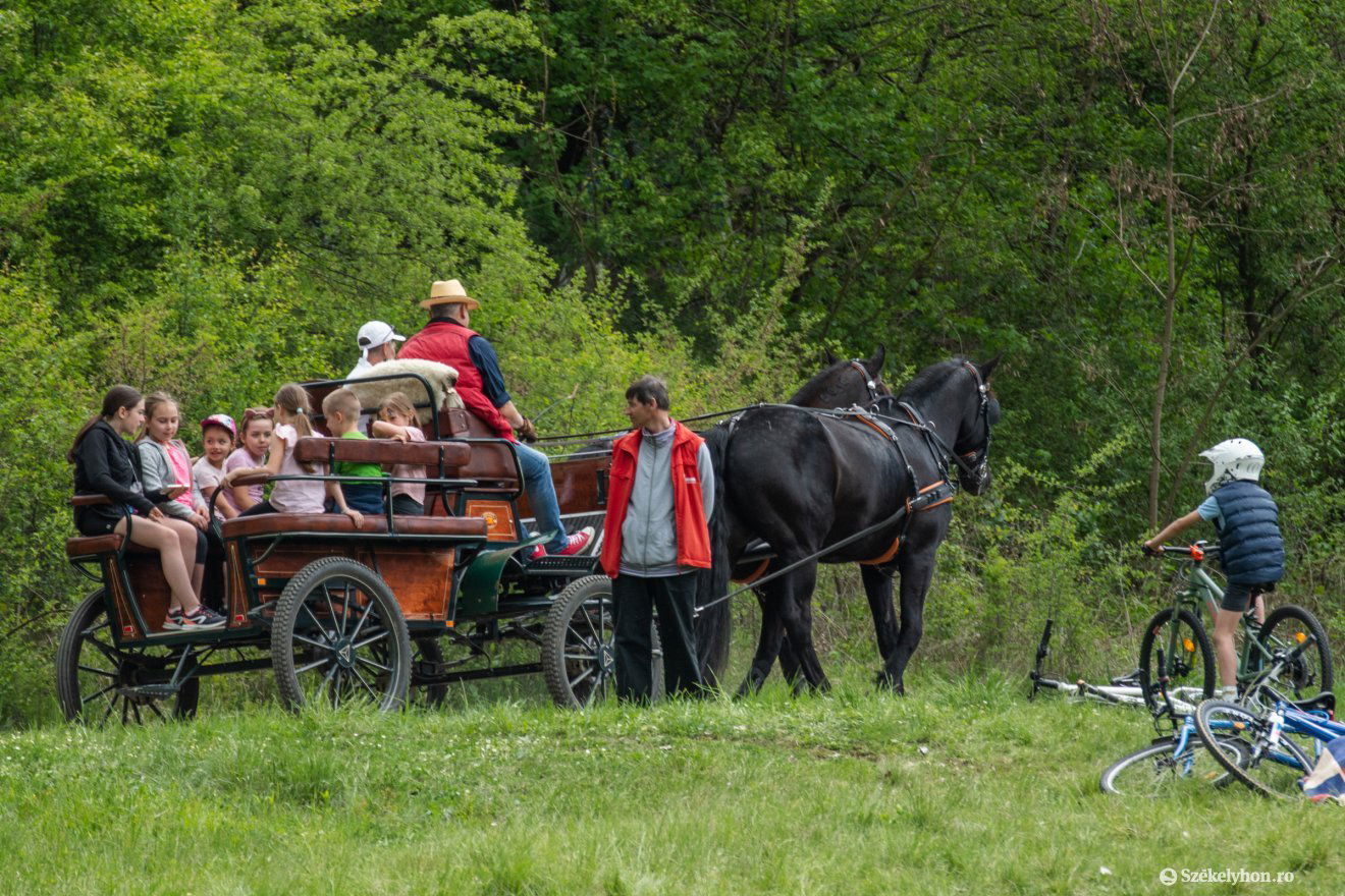 •  Fotó: László Ildikó