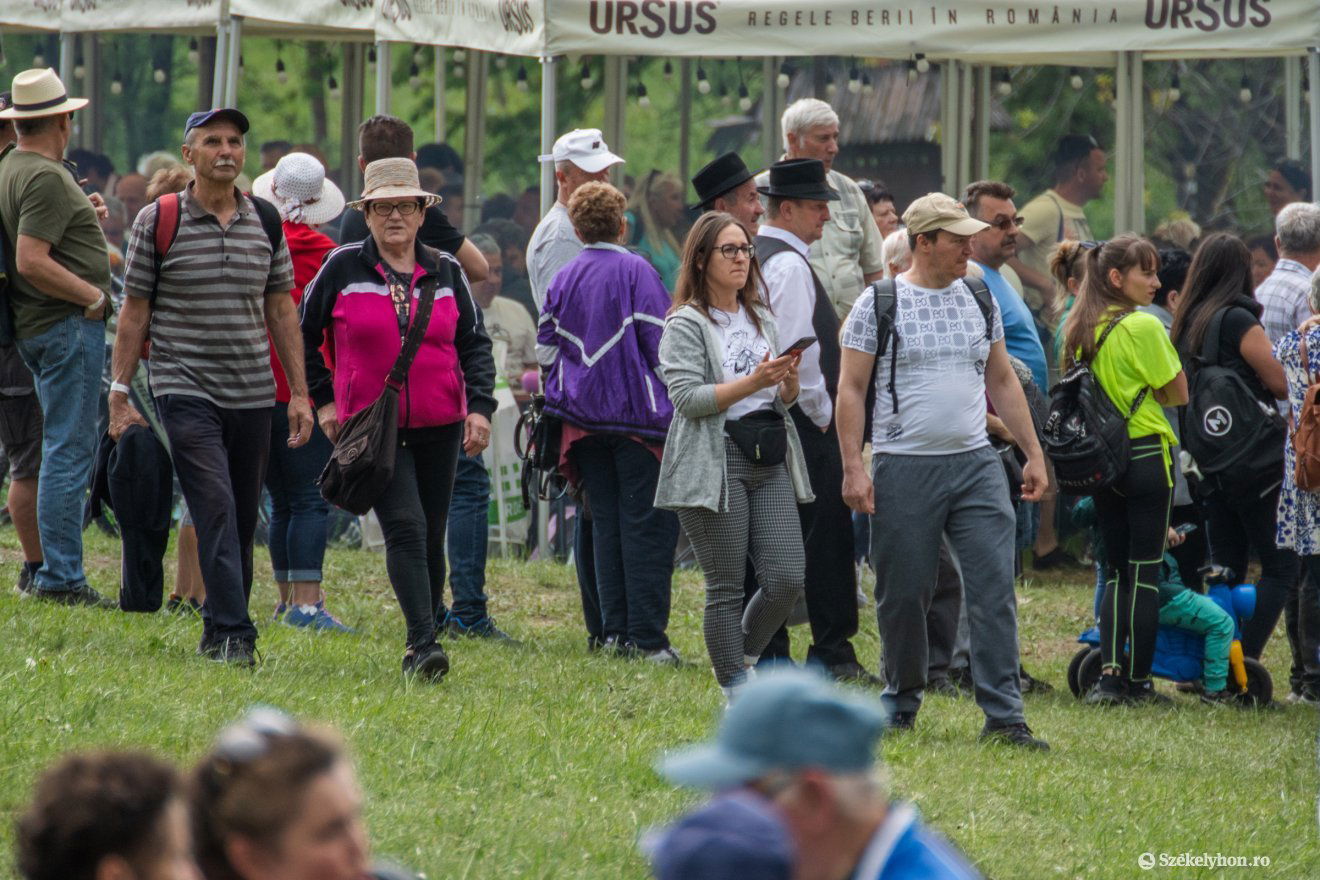 •  Fotó: László Ildikó