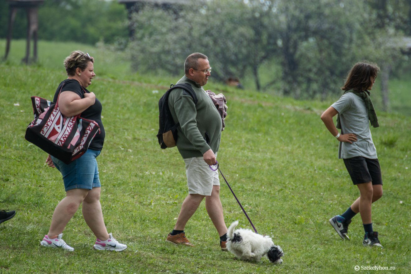 •  Fotó: László Ildikó